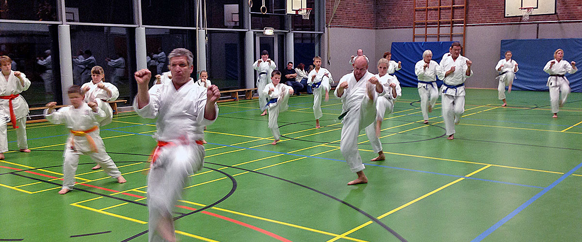 Kata Heian Yondan im gemeinsamen Training
