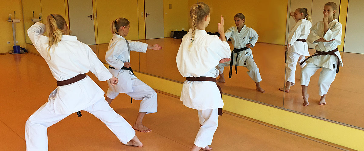 Stand und Deckung im Kata-Training