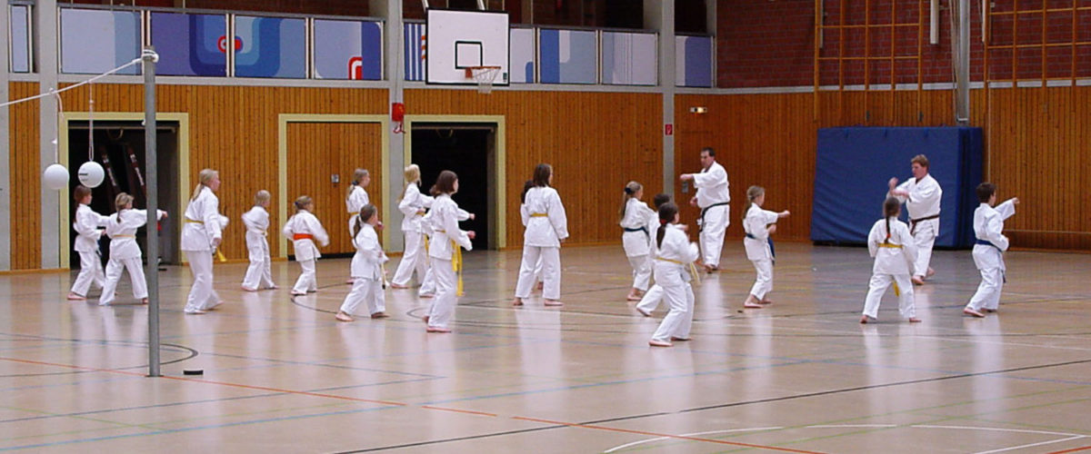 Soundkarate in der Halle, 2004