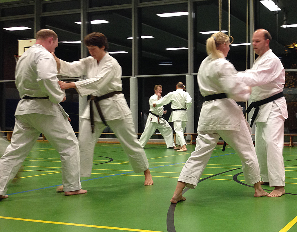 Tekki Shodan Bunkai