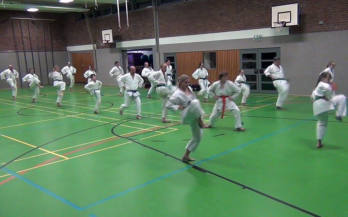 Kata-Kombinationen in Koshinkan Form