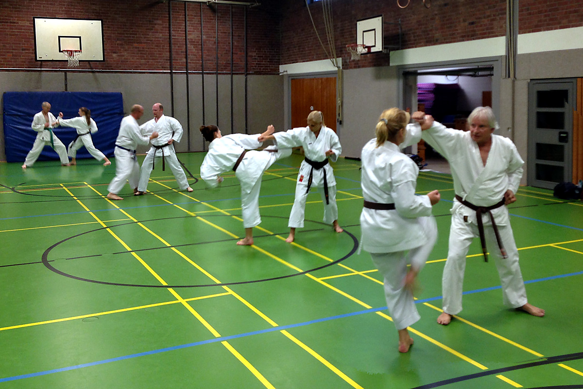 Bunkai und Jiyu-Ippon