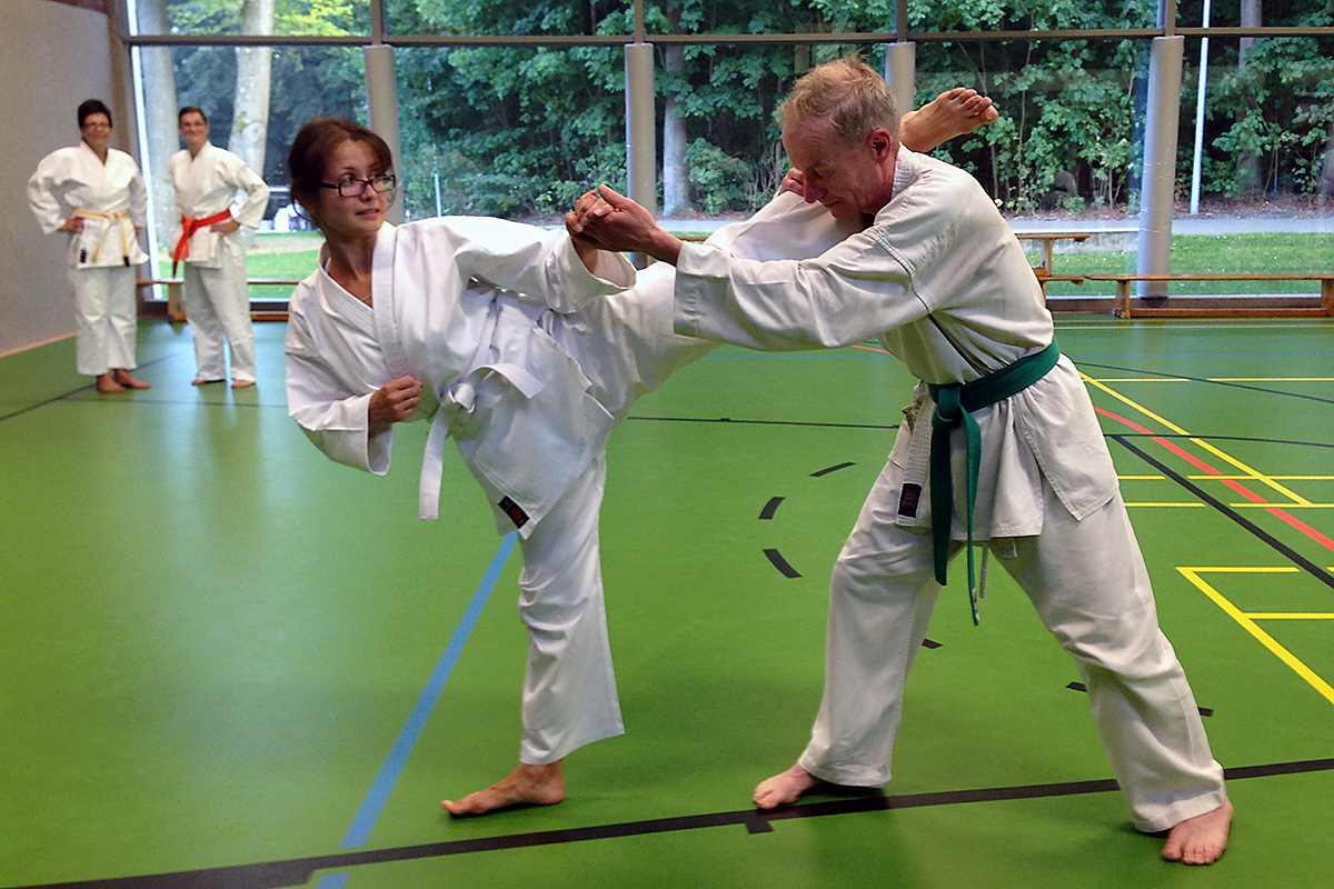 Mawashi-Geri in Kumite-Form