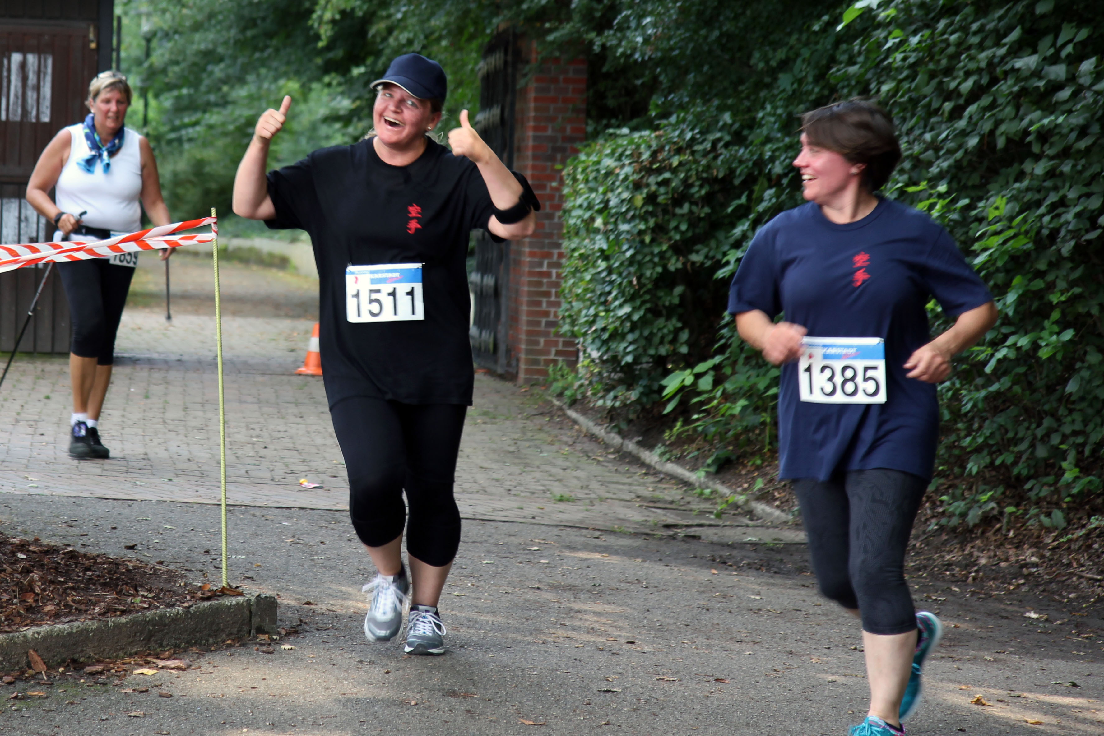 Citylauf 2015 1 - Bild zum Beitrag "Möllner City-Lauf 2015"