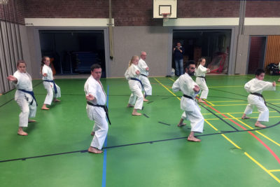 Kata Team 04 16 - Bild zum Beitrag "Kata-Kombinationen und Jion"