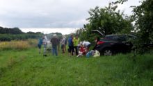 Grillen 1 - Bild zum Beitrag "Dritte Toshima-Radtour"