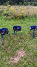 Grills - Bild zum Beitrag "Dritte Toshima-Radtour"