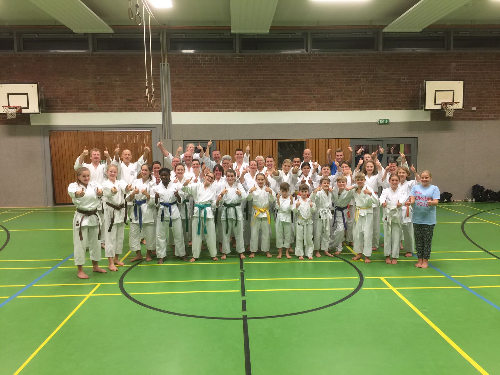 Prüfungsprogramm, Kata-Kombinationen, Kumite und Mae-Geri