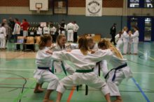 Martial Arts Cup 2016 1 - Bild zum Beitrag "Martial Arts Cup in Bad Oldesloe"