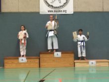 Martial Arts Cup 2016 11 - Bild zum Beitrag "Martial Arts Cup in Bad Oldesloe"