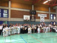 Martial Arts Cup 2016 7 - Bild zum Beitrag "Martial Arts Cup in Bad Oldesloe"