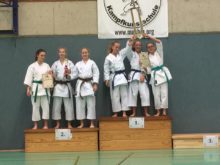 Martial Arts Cup 2016 8 - Bild zum Beitrag "Martial Arts Cup in Bad Oldesloe"