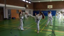 Spezialtraining mit Angrillen