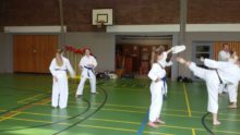 Spezial 1b - Bild zum Beitrag "Spezialtraining mit Angrillen"