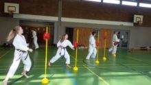 Spezial 1c - Bild zum Beitrag "Spezialtraining mit Angrillen"