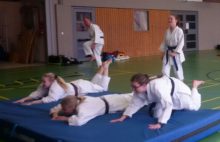 Spezial 1f - Bild zum Beitrag "Spezialtraining mit Angrillen"