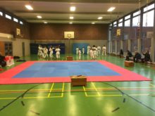Bild 2 zum Beitrag "Toshima Kids-Cup 2017"