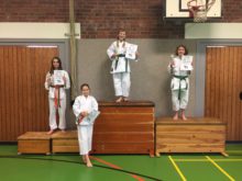 Bild 12 zum Beitrag "Toshima Kids-Cup 2017"