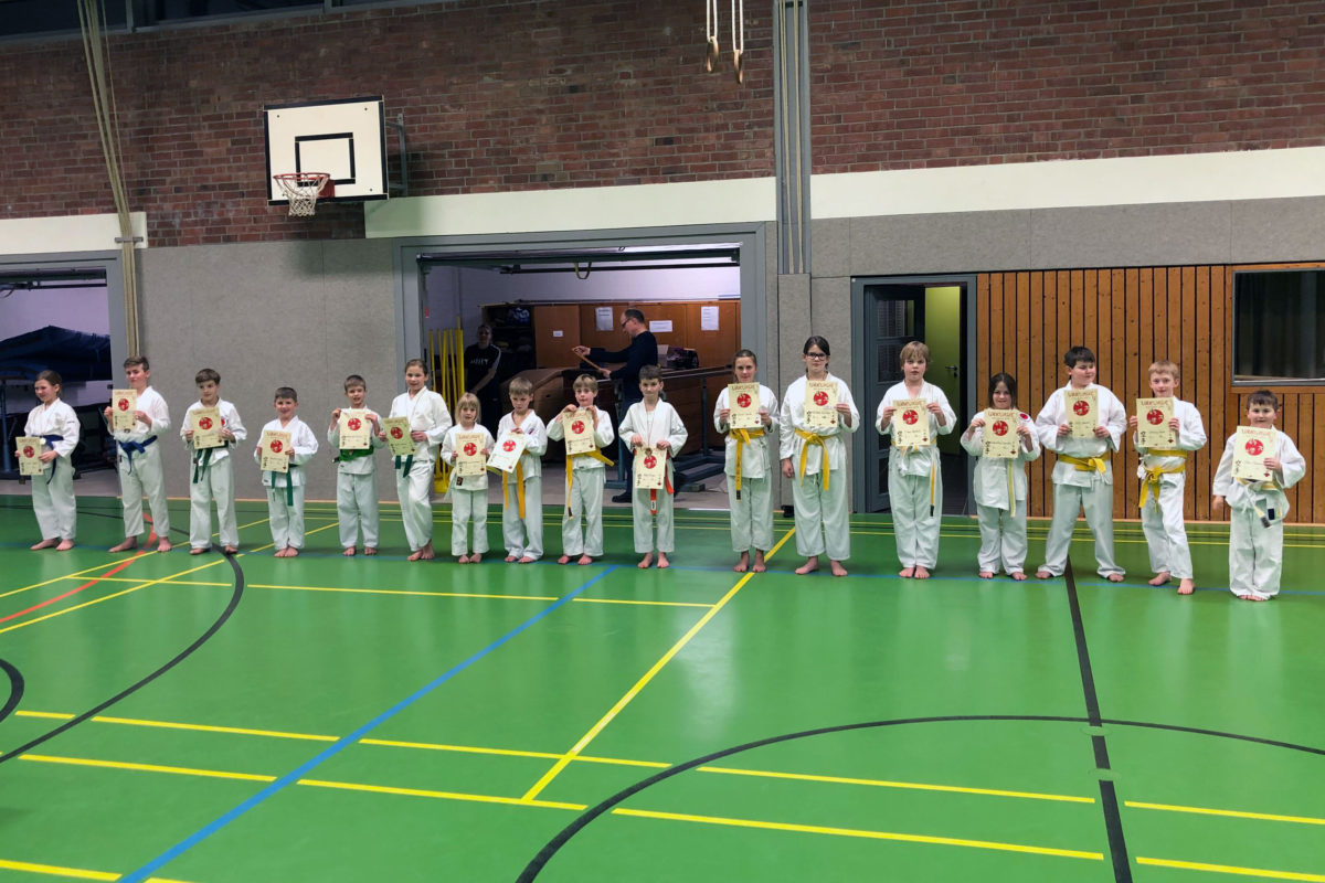 Kidsgames 2019 - Bild zum Beitrag "Großartiger Karate – Lehrgang mit Kids – Games in Ratzeburg"